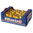 Limoni Solarino arance a casa tua